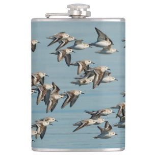 Sanderlings Take Flight in the Winter Skies Hip Flask