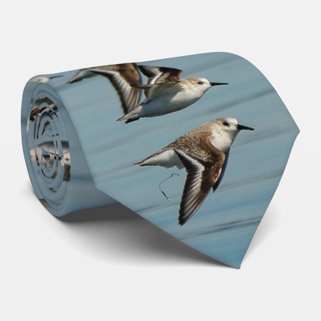 Sanderlings Takes Flight in the Winter Skies  Tie (Rolled)