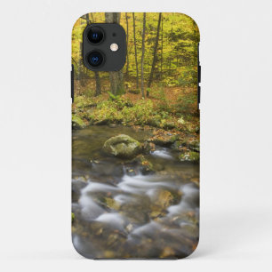 Sanderson Brook. Chester-Blanford State Forest. iPhone 11 Case