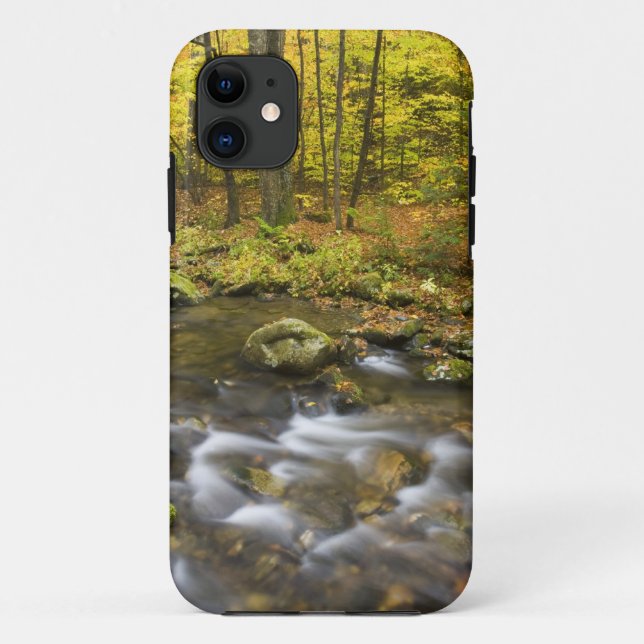 Sanderson Brook.  Chester-Blanford State Forest. Case-Mate iPhone Case (Back)