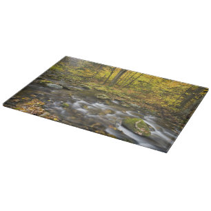 Sanderson Brook. Chester-Blanford State Forest. Cutting Board