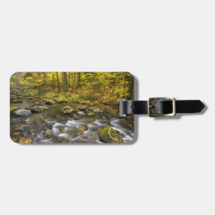 Sanderson Brook. Chester-Blanford State Forest. Luggage Tag