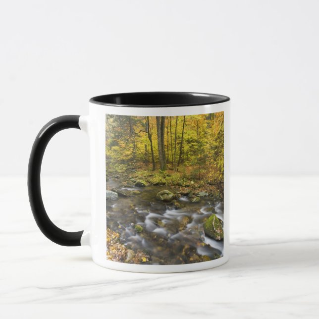 Sanderson Brook.  Chester-Blanford State Forest. Mug (Left)