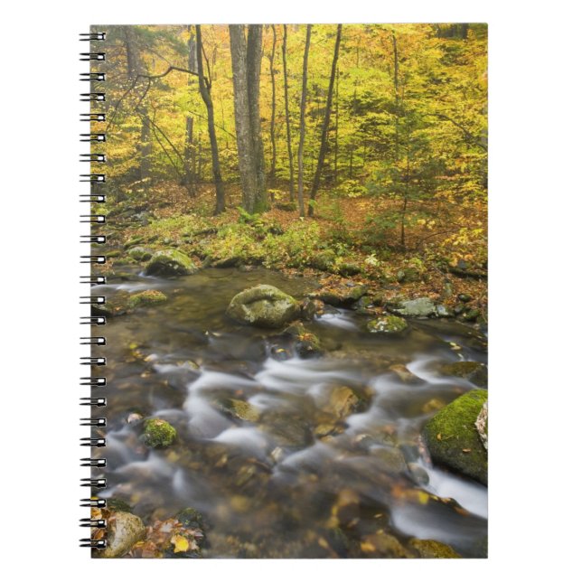 Sanderson Brook.  Chester-Blanford State Forest. Notebook (Front)