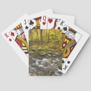 Sanderson Brook. Chester-Blanford State Forest. Playing Cards