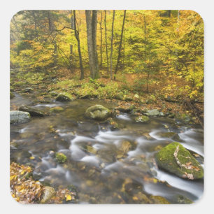 Sanderson Brook. Chester-Blanford State Forest. Square Sticker