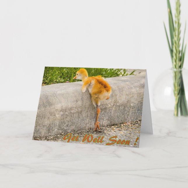 Sandhill baby bird GET WELL SOON Card (Front)