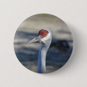 Sandhill Crane 6 Cm Round Badge