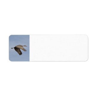 Sandhill Crane address label Return Address Label