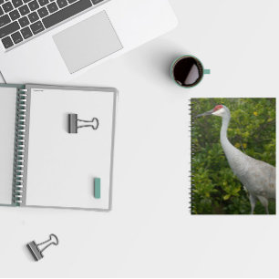 Sandhill Crane Bird Green Leaves Photo Notebook