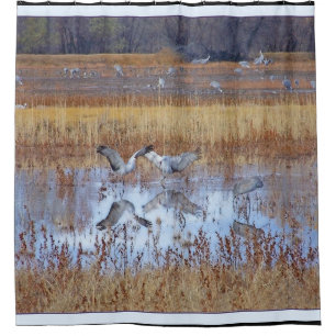 Sandhill Crane Birds Wildlife Animal Shower Curtain