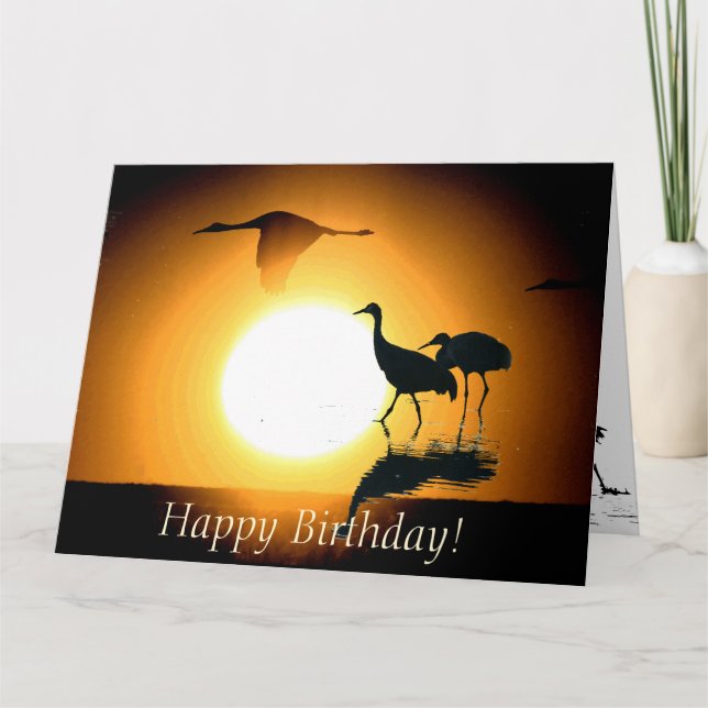 Sandhill Crane Birds Wildlife Animals Birthday Card (Front)