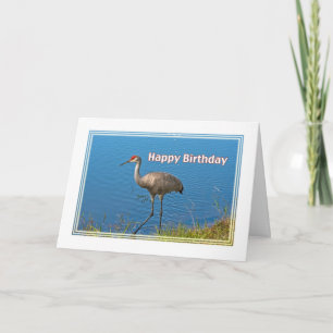 Sandhill Crane Birthday Card