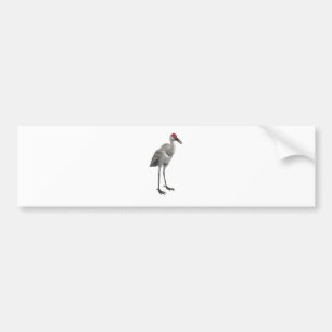 Sandhill Crane Bumper Sticker