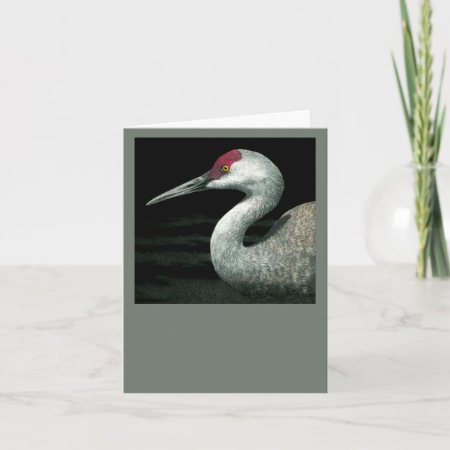 Sandhill Crane Card - "Grassland Grace" (Front)