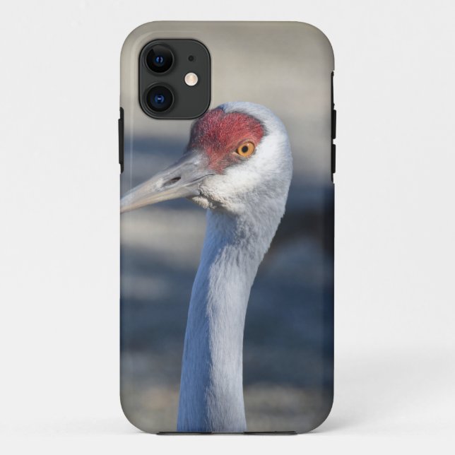 Sandhill Crane Case-Mate iPhone Case (Back)