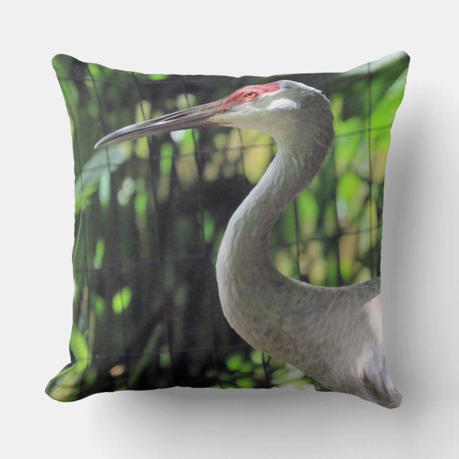 Sandhill crane  cushion (Front)