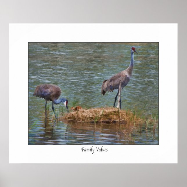 Sandhill Crane " Family Values"  Print (Front)