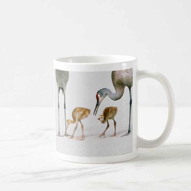 Sandhill Crane Famiy mug (Right)
