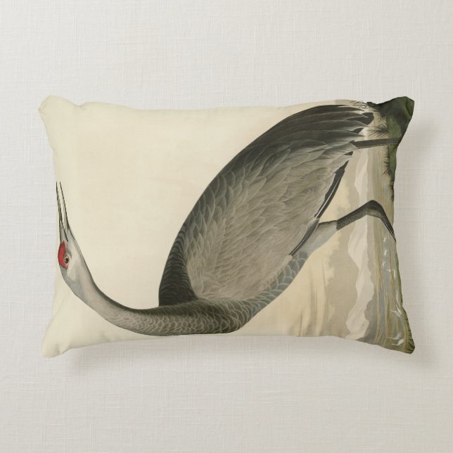 Sandhill Crane from Audubon's Birds of America Decorative Cushion (Front)