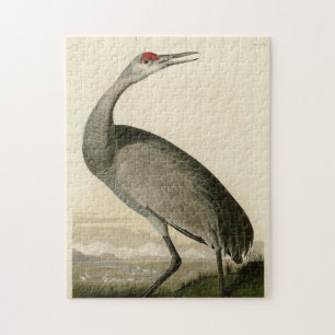 Sandhill Crane from Audubon's Birds of America Jigsaw Puzzle