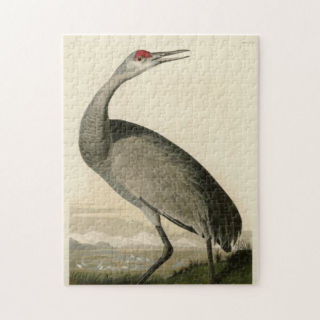 Sandhill Crane from Audubon's Birds of America Jigsaw Puzzle (Vertical)