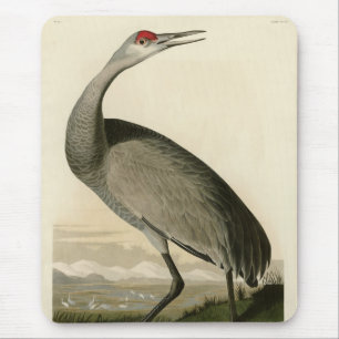Sandhill Crane from Audubon's Birds of America Mouse Pad