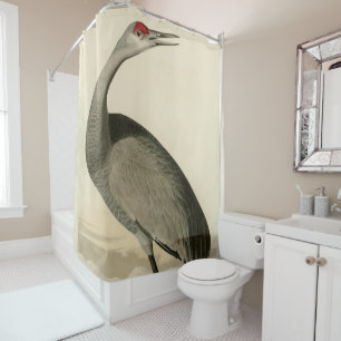 Sandhill Crane from Audubon's Birds of America Shower Curtain