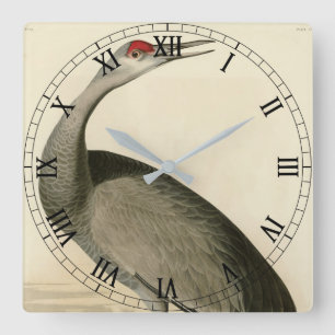 Sandhill Crane from Audubon's Birds of America Square Wall Clock