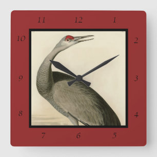 Sandhill Crane from Audubon's Birds of America Square Wall Clock