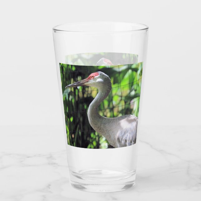 Sandhill crane glass (Front)