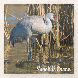 Sandhill Crane Glass Coaster