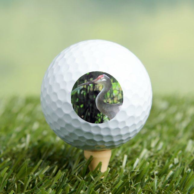 Sandhill crane golf balls (Insitu Tee)