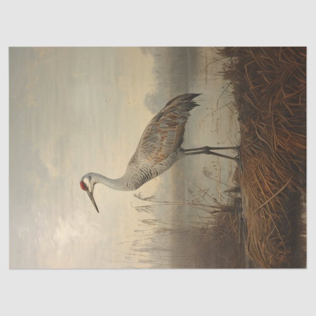 Sandhill Crane in the Marsh Decoupage Tissue Paper (Front)