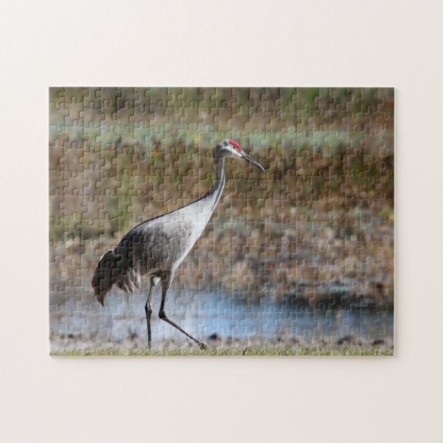 Sandhill Crane Jigsaw Puzzle (Horizontal)