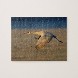 sandhill crane jigsaw puzzle