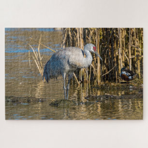 Sandhill Crane Jigsaw Puzzle