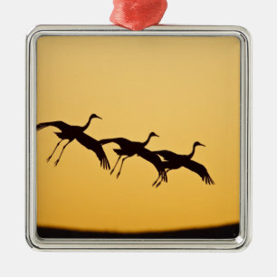 Sandhill Crane landing at sunset Metal Tree Decoration