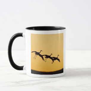 Sandhill Crane landing at sunset Mug