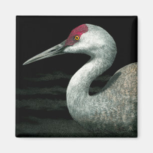 Sandhill Crane Magnet - "Grassland Grace"