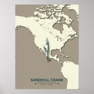 Sandhill Crane Migration Map – Minimalist Vintage  Poster