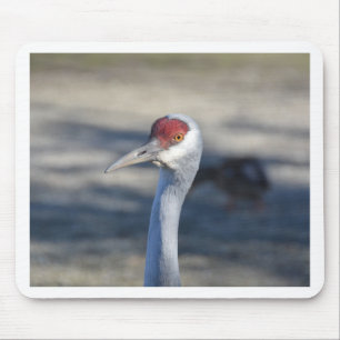 Sandhill Crane Mouse Pad