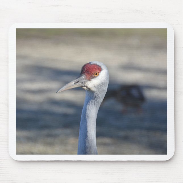 Sandhill Crane Mouse Pad (Front)