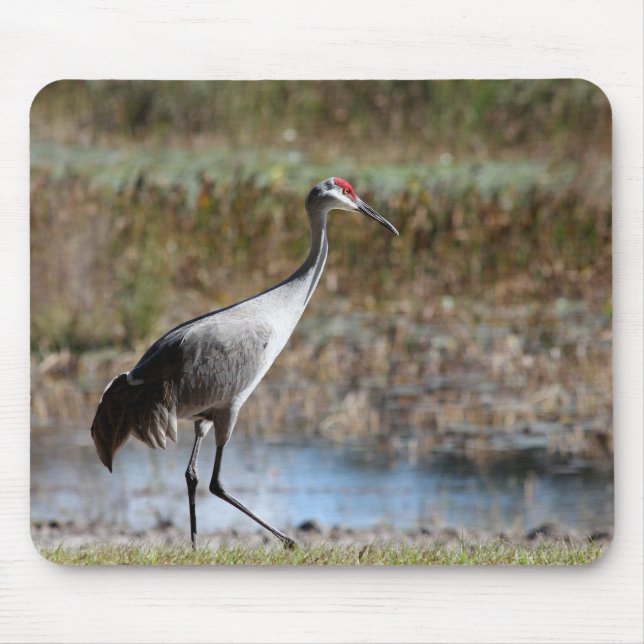 Sandhill Crane Mouse Pad (Front)