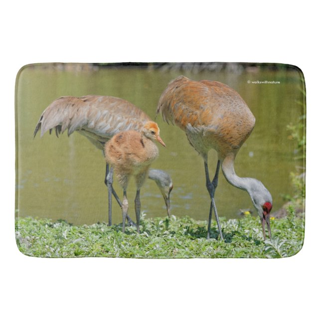 Sandhill Crane Parents and Chick Bath Mat (Front)