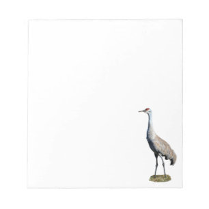Sandhill Crane Photo Notepad