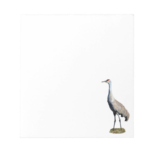 Sandhill Crane Photo Notepad (Front)