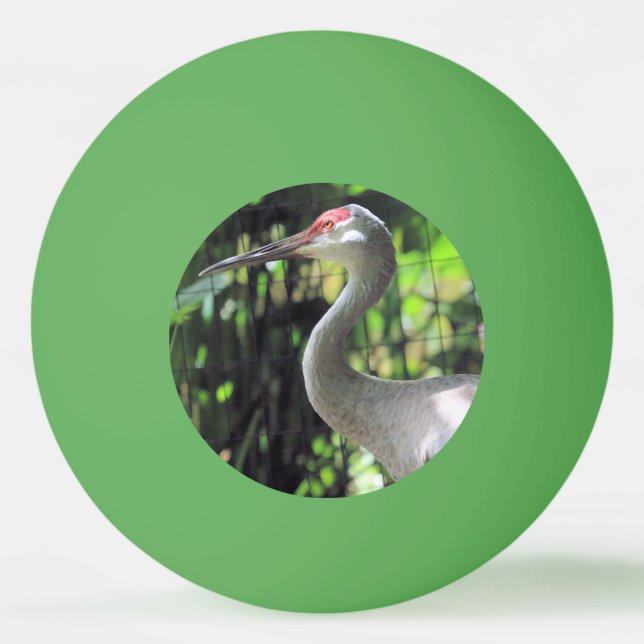 Sandhill crane ping pong ball (Front)