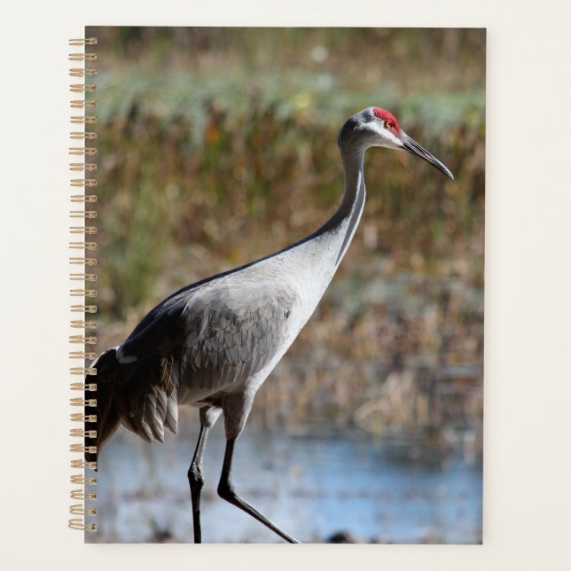 Sandhill Crane Planner (Front)