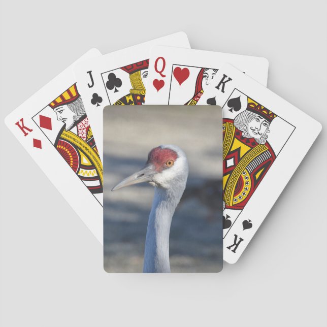 Sandhill Crane Playing Cards (Back)